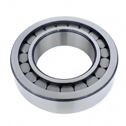Not cage bearings